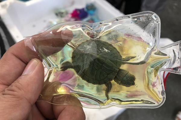 沪指八连阳;成功突破前高，哪些个股是上攻“主力军”？