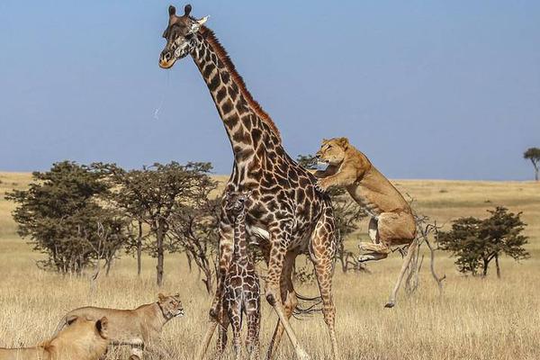 美国停!铸1美分硬币加剧零售商运营压力
