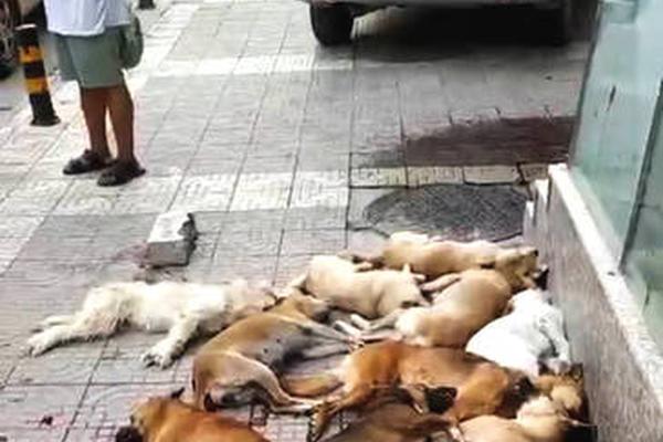 千:亿ETF基金公司入局！“红利+低波”新物种今日火爆开售