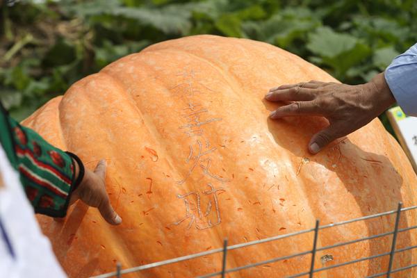 近3?日狂揽1.—96亿元！有色龙头ETF（159876）盘中涨近1.7%！资金为何大手笔加仓有色？后市还能再涨吗？