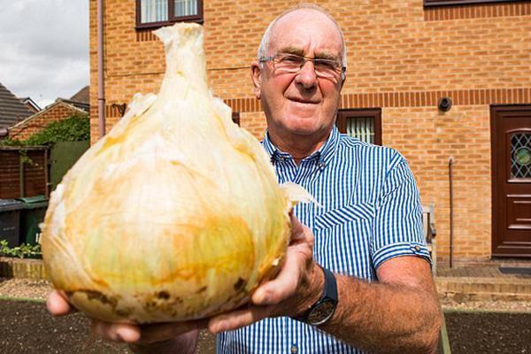 今日视:点：券商“十四五”答卷彰显行业高质量发展成效