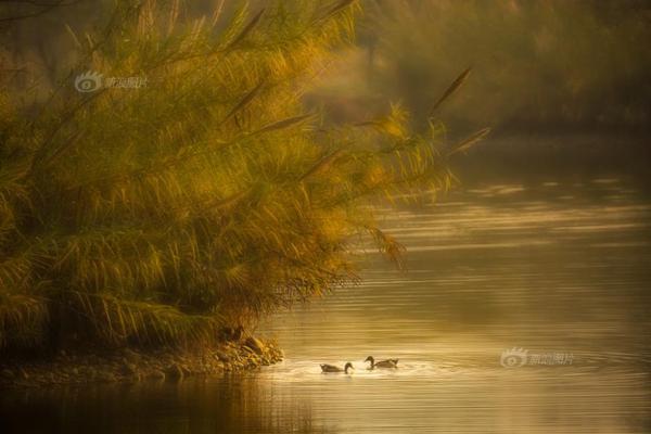 兽药企业*ST?绿康“断臂求生”！0元甩卖三家子公司