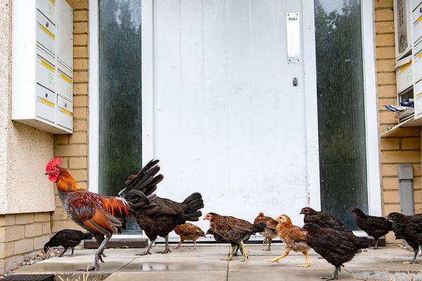 绿色工厂申报开启简便模式 企业为何感觉变难了