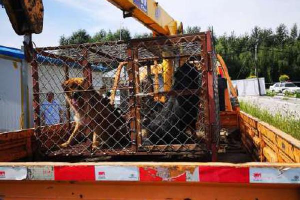 亿都<(>国际控股)公布中期业绩 公司拥有人应占溢利约12.18亿港元同比增长约11.55倍