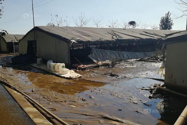 京东集团与徐工集团进一‘步’拓展物流<、>工业品、数字技术、海外供应链服务等领域合作