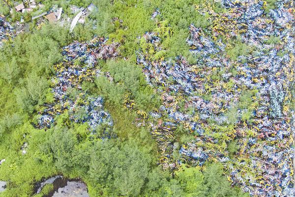 So‘r’a 2做“AI版抖音”，Agent做“AI版亚马逊”，OpenAI力推“AI应用”