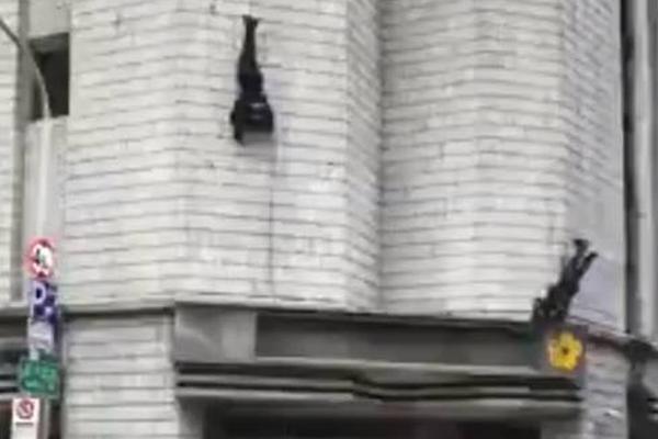 立.案！聚石化学涉嫌信披违规，受损股民可登记索赔