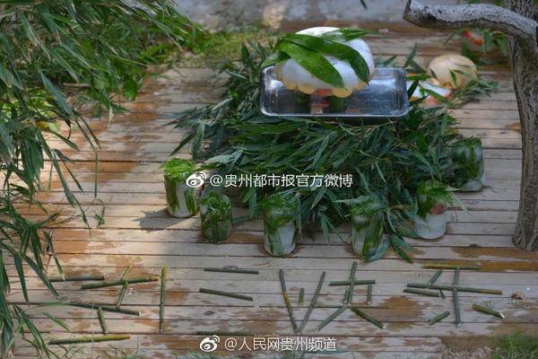 锡山造“小电电”一年出口126万辆，雅迪迷你“小电驴”闯进欧美市场