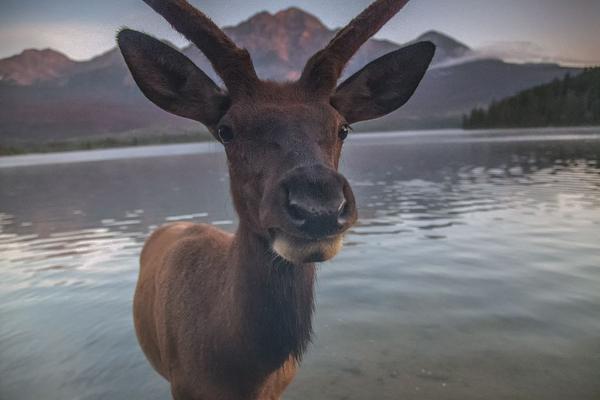 *ST东?易：2025年上半年实现营业收入3.60亿元 积极推进预重整相关工作