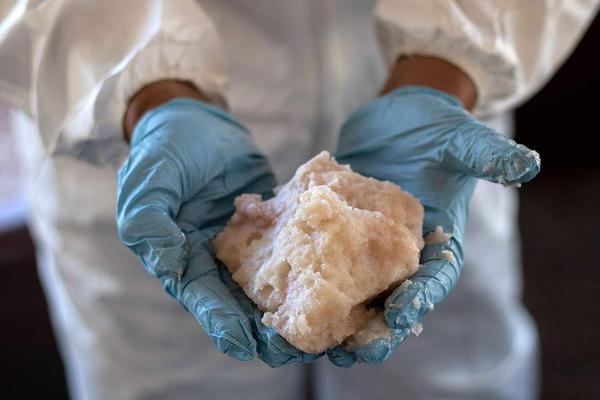 龙.净环保（600388）：中标中煤陕西能源化工集团有限公司采购项目，中标金额为850.00万元