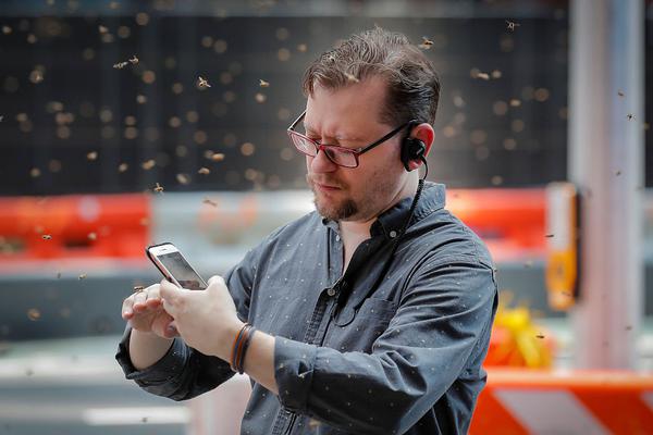 日!本央行行长植田和男与首相石破茂会晤 就经济和市场问题进行讨论