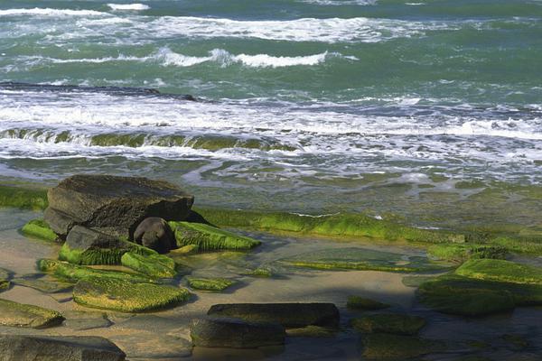 报道：特朗普计划周五签署税收法案