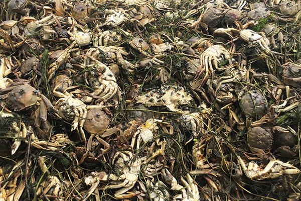 周鸿!祎谈AI：希望大家能够跟我一块共勉，坚持资源的集中