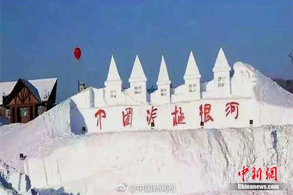 保!隆科技：.将逐步投入资源拓展机器人领域业务