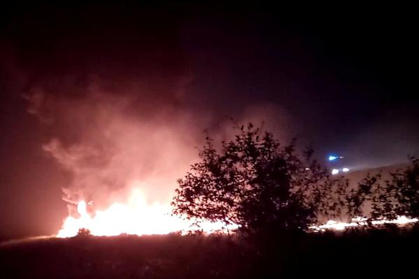 海王生;物：连续三个交易日收盘价格涨幅偏离值累计超过20%