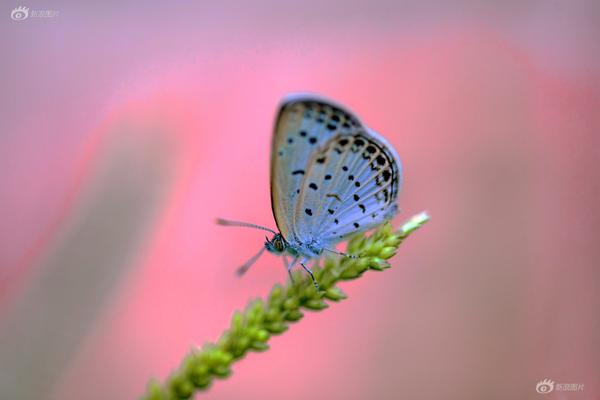 领!益智,造：公司人形机器人业务已产生收入