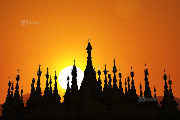 珠.海中富：公司会在定期报告中披露股东人数