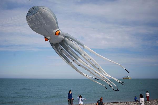 甘源食品：上半年归母.净利润7460.5万元，同比下降55.20%