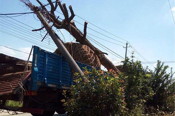 中国—保险行业协会：当前普通型人身保险产品预定利率研究值为1.90%