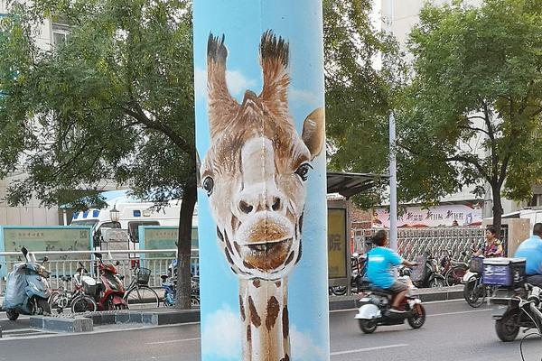 美—媒：为何美国无法,建造5分钟“闪充”电桩？