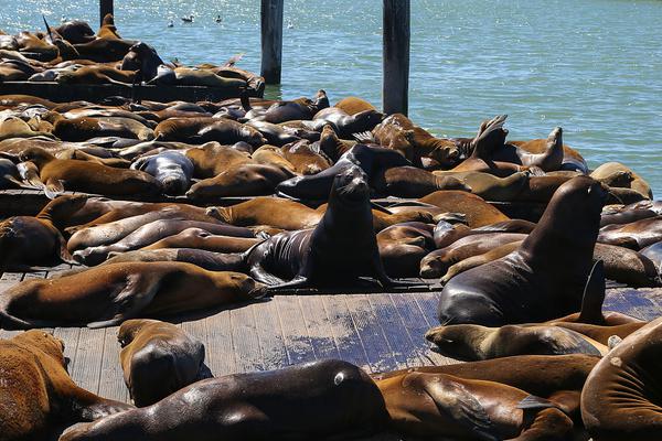 谷歌母:公司Alphabet与Anthropic正考虑达成数十亿美元云服务合作