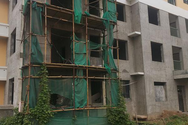 太平洋：.给予山金国际买入评级