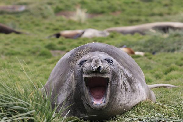 M,ineralys完成2.5亿美元股票发行定价