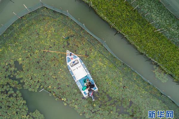 以<金>融“活水”激发小微企业活力（现场评论）