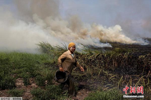 祥鑫:科技前三季度营收同比增长16.16% 人形机器人等新业务进展顺利