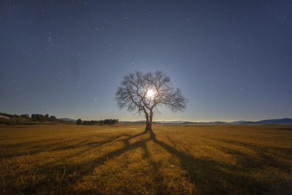 腾讯业绩出‘炉’！AI:驱动增长，上半年净利1244亿元！二季度资本开支大增119%