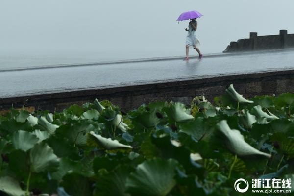 电器修理铺“长”成民企500强