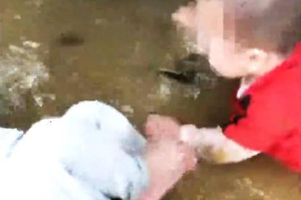 算力概,念维持强势 中科曙光等多股涨停