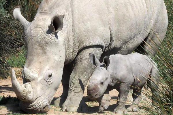 24!家理财公司净利超156亿元，万亿头部玩家喜忧参半