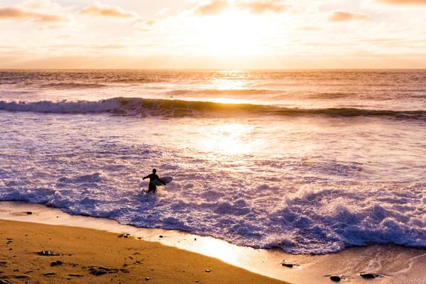 调研汇总：富国、嘉实、易方达基金等39家明星机构调研汇川技术！