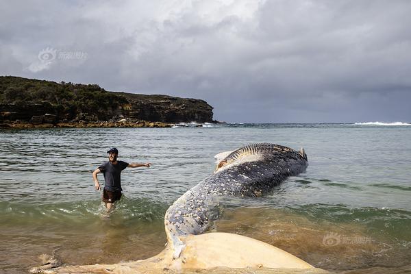 上海地区CFO薪<酬>榜—：网宿科技CFO蒋薇407万排名第二