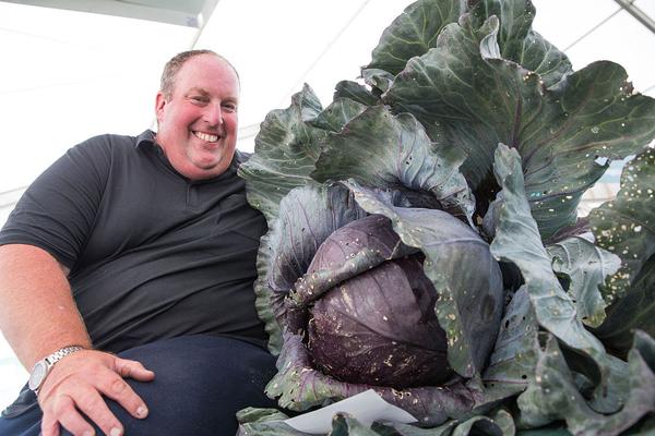 美国上诉法,院裁:定特朗普的全球关税多数不合法