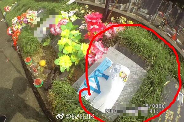 8:2岁爱马仕继承人突然自曝破产！百亿财富离奇蒸发，好友被警方判定自杀