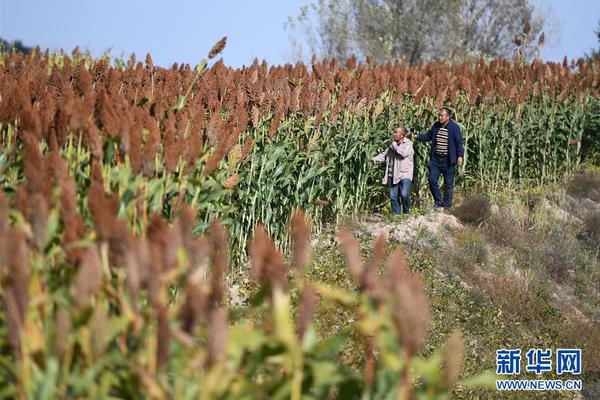 华为—Mate 70 Air—预售引热议，moto X70 Air以极致轻薄回应命名之争