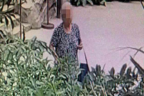 左小蕾：,金<融>活水润泽消费热土——一场政策、结构与技术共舞的经济大戏|财富领航征程