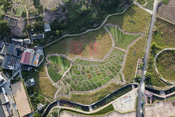 特朗普：半?导体关税将不久宣布 税率可能达到300%