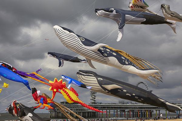 五.年五芯 百度宣布打造最硬AI云