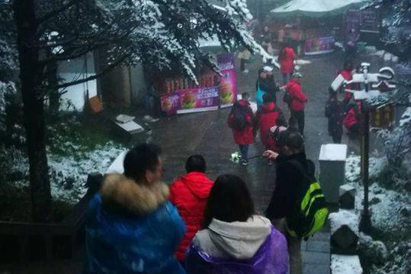 利欧股份筹划港股—上.市有无忽悠成分？实控人遭立案调查 关联交易助力资本运作？