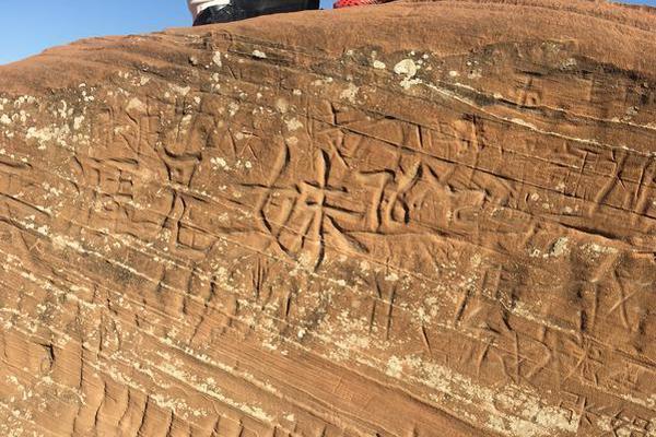 关?税令美国经济鸿沟扩大！美关税成本终将由消费者买单