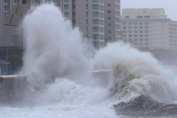 红‘豆’股份连收4个涨停板