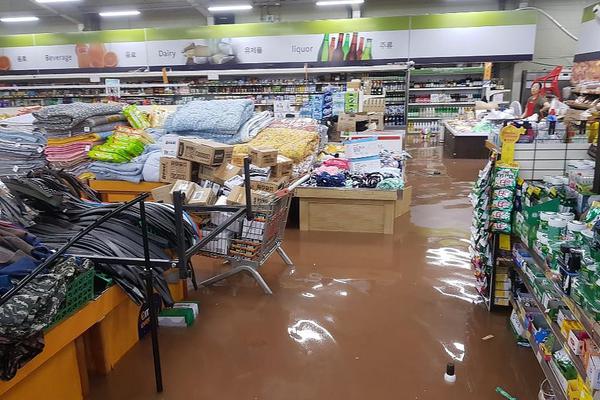 赛力,斯冲刺港股IPO：海外营收占比不足3% 