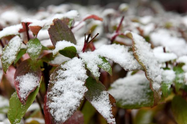 宁波东力：截至‘2’025年9月30日，公司股东数为49620户