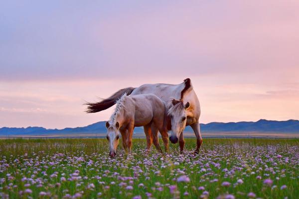 A!50，午后突发！节前如何演绎？