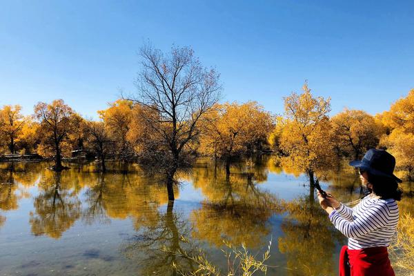 马斯克.：Grok 4向全球所有用户免费开放