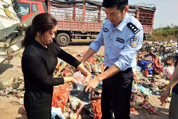 英发睿能港股<I>PO背后：与隆基绿能关系匪浅