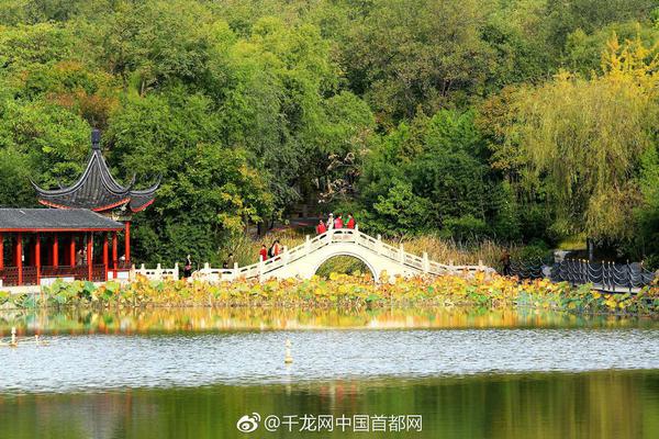 中巨芯-U大宗交易成交1653.00万元，买方为机构专用席位